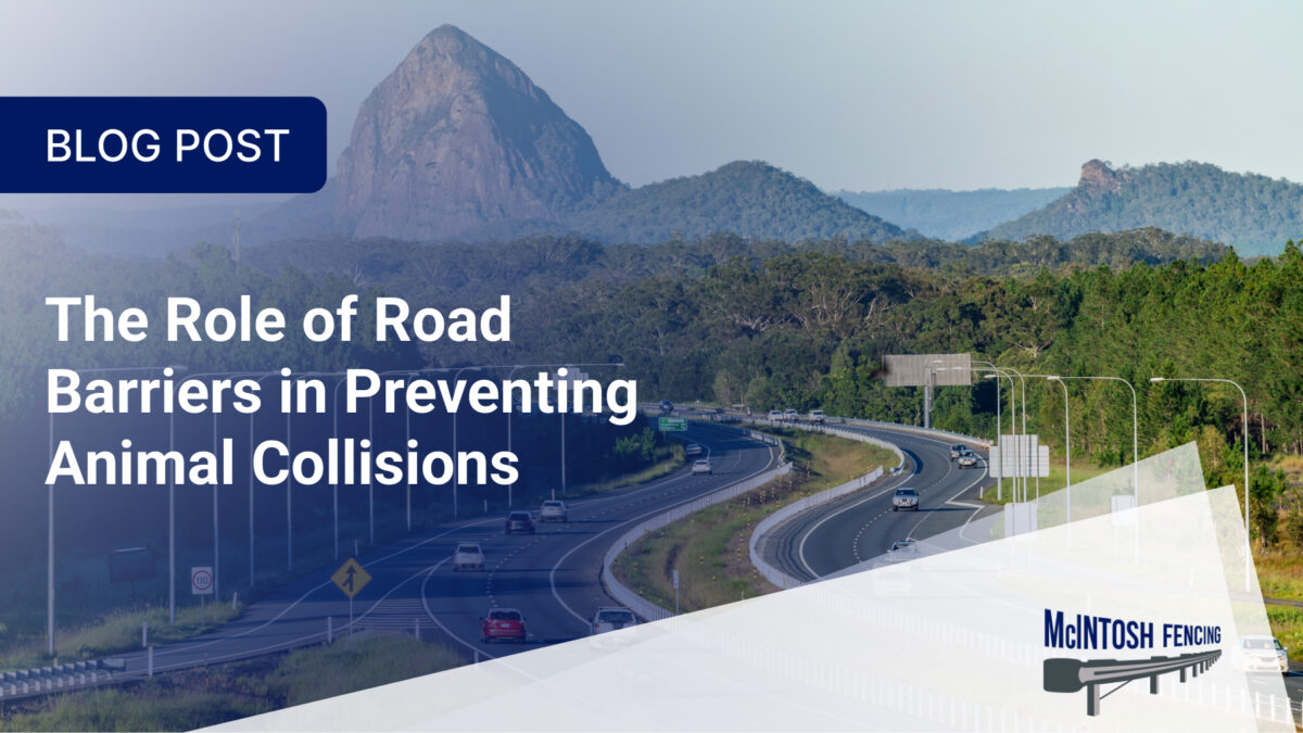 Road Barriers for Animal Collisions