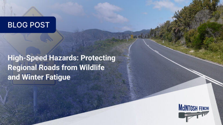 High-Speed Hazards: Protecting Regional Roads from Wildlife and Winter Fatigue